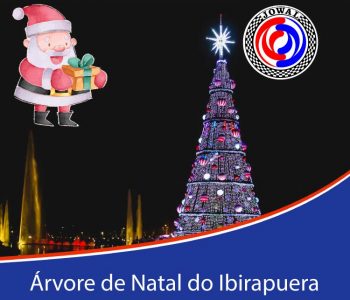 Árvore de Natal do Ibirapuera - Aluguel de Táxi SP